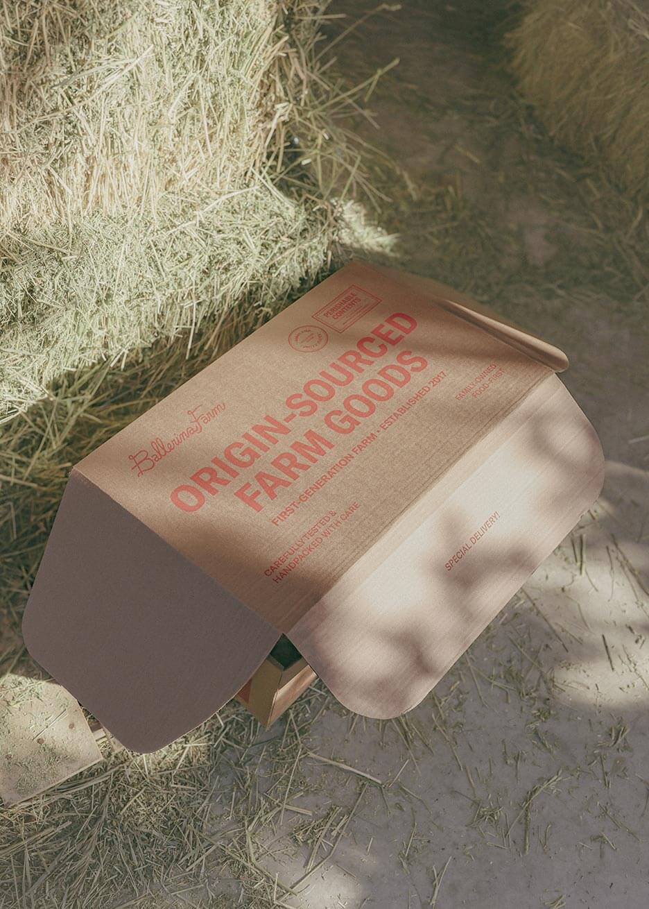 All-Beef Encore Subscription Box - Image 3