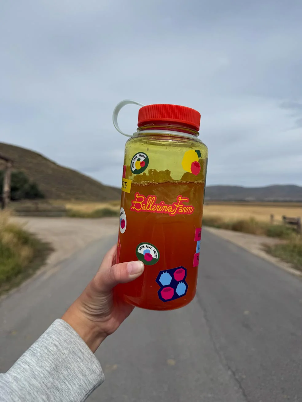 Water Bottle & Sticker Sheet - Image 2