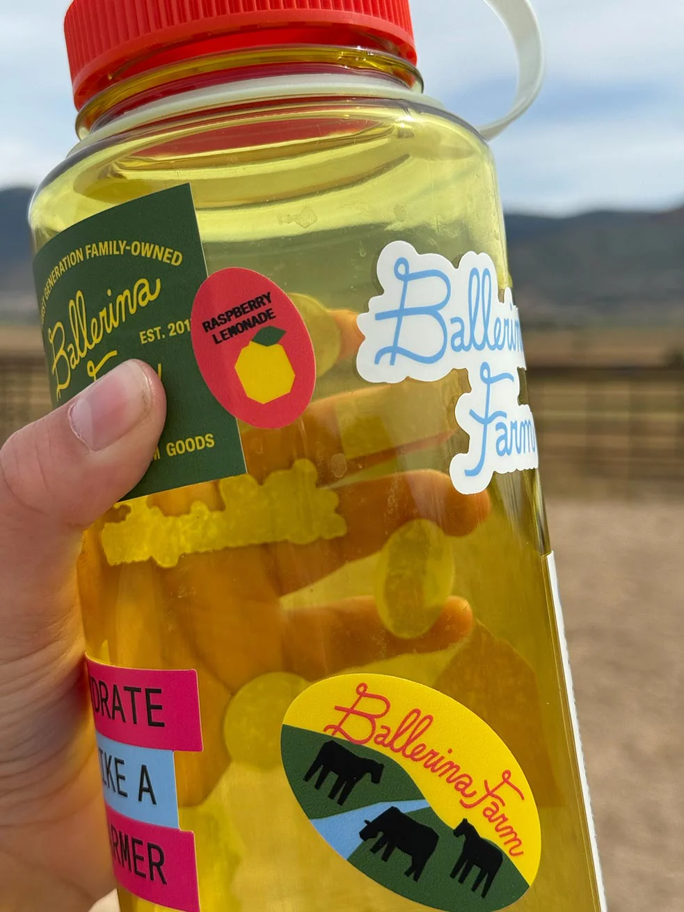 Water Bottle & Sticker Sheet - Image 3