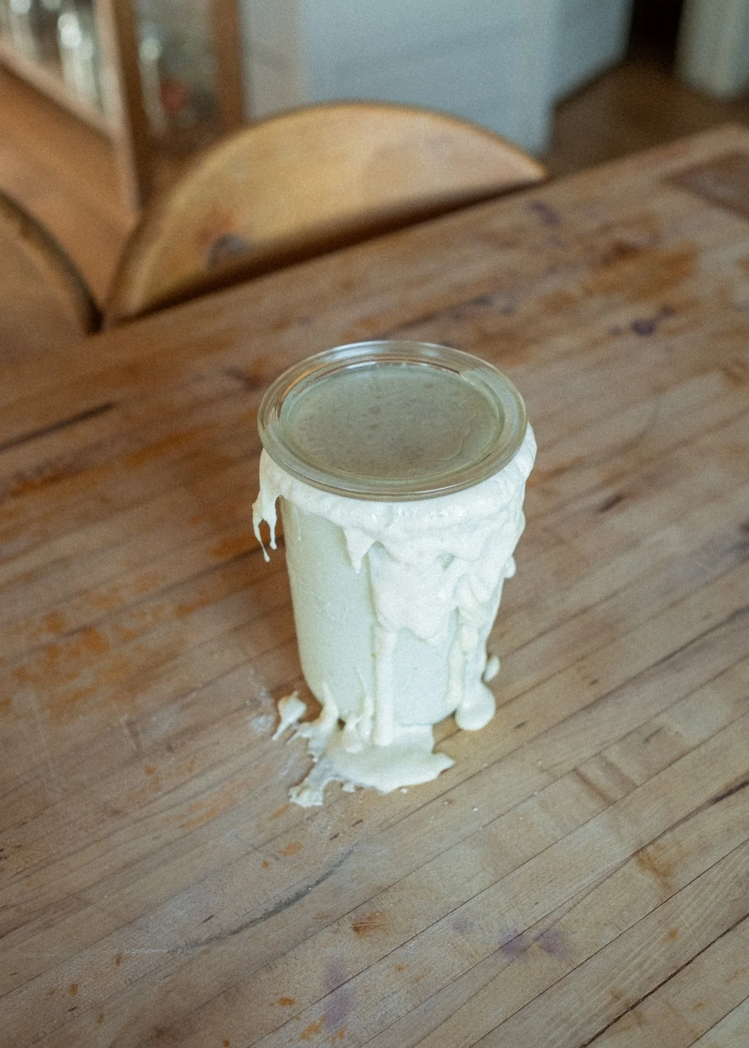 Willa Sourdough Starter - Image 6